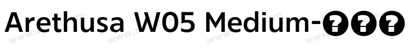 Arethusa W05 Medium字体转换